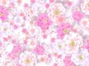 Printed Wafer Paper - Floral Tones